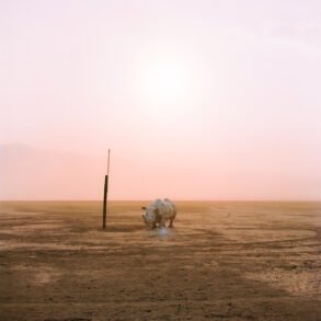 Welcome to Paradise | Oswaldo Ruiz
